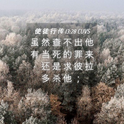 Picture 04 - 使 徒 行 传 13:28 CUVS - 虽 然 查 不 出 他 有 当 死 的 罪 来 - Bible Verse Picture