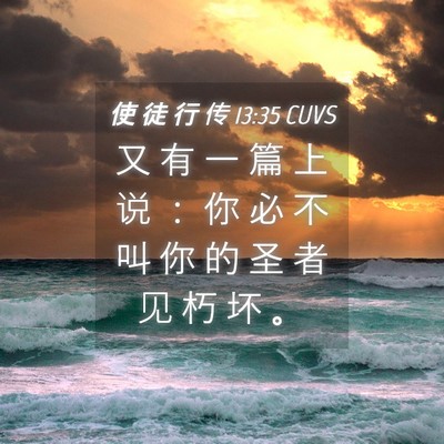 Picture 04 - 使 徒 行 传 13:35 CUVS - 又 有 一 篇 上 说 ： 你 必 不 叫 你 - Bible Verse Picture