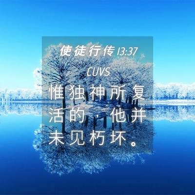 Picture 04 - 使 徒 行 传 13:37 CUVS - 惟 独 神 所 复 活 的 ， 他 并 未 见 - Bible Verse Picture