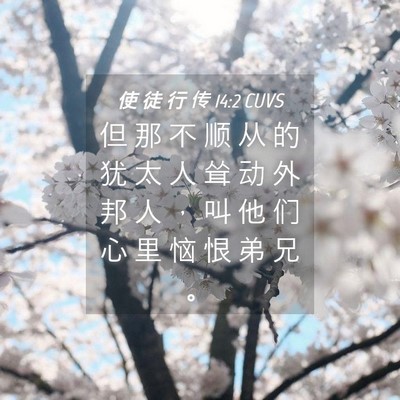 Picture 04 - 使 徒 行 传 14:2 CUVS - 但 那 不 顺 从 的 犹 太 人 耸 动 外 - Bible Verse Picture