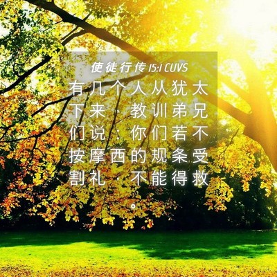 Picture 04 - 使 徒 行 传 15:1 CUVS - 有 几 个 人 从 犹 太 下 来 ， 教 训 - Bible Verse Picture
