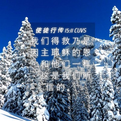 Picture 04 - 使 徒 行 传 15:11 CUVS - 我 们 得 救 乃 是 因 主 耶 稣 的 恩 - Bible Verse Picture