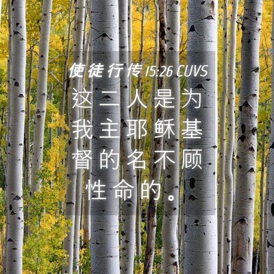 Picture 04 - 使 徒 行 传 15:26 CUVS - 这 二 人 是 为 我 主 耶 稣 基 督 的 - Bible Verse Picture