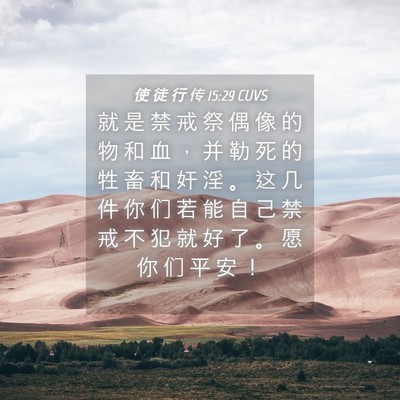 Picture 04 - 使 徒 行 传 15:29 CUVS - 就 是 禁 戒 祭 偶 像 的 物 和 血 ， - Bible Verse Picture