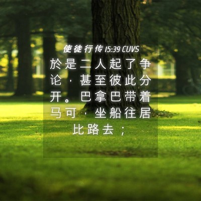 Picture 04 - 使 徒 行 传 15:39 CUVS - 於 是 二 人 起 了 争 论 ， 甚 至 彼 - Bible Verse Picture