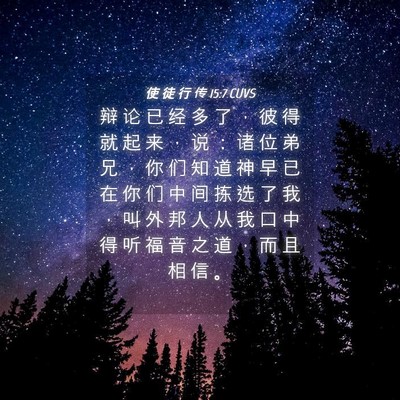 Picture 04 - 使 徒 行 传 15:7 CUVS - 辩 论 已 经 多 了 ， 彼 得 就 起 来 - Bible Verse Picture