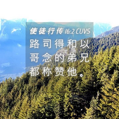 Picture 04 - 使 徒 行 传 16:2 CUVS - 路 司 得 和 以 哥 念 的 弟 兄 都 称 - Bible Verse Picture