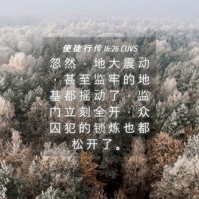 Picture 04 - 使 徒 行 传 16:26 CUVS - 忽 然 ， 地 大 震 动 ， 甚 至 监 牢 - Bible Verse Picture