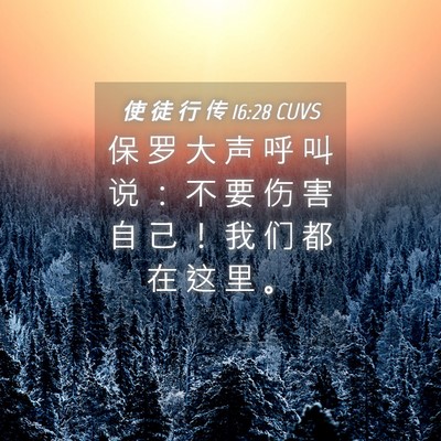 Picture 04 - 使 徒 行 传 16:28 CUVS - 保 罗 大 声 呼 叫 说 ： 不 要 伤 害 - Bible Verse Picture