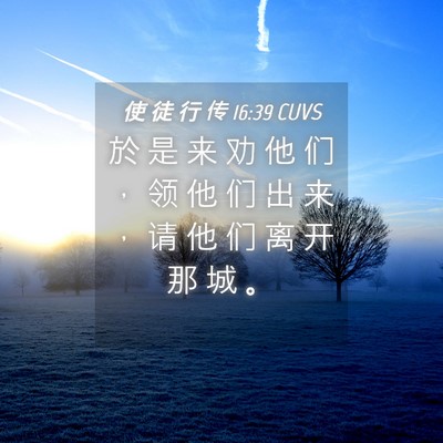 Picture 04 - 使 徒 行 传 16:39 CUVS - 於 是 来 劝 他 们 ， 领 他 们 出 来 - Bible Verse Picture