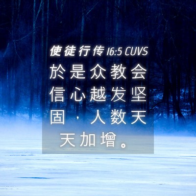 Picture 04 - 使 徒 行 传 16:5 CUVS - 於 是 众 教 会 信 心 越 发 坚 固 ， - Bible Verse Picture