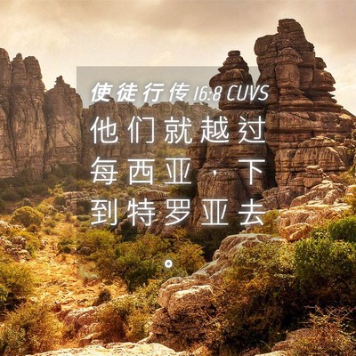 Picture 04 - 使 徒 行 传 16:8 CUVS - 他 们 就 越 过 每 西 亚 ， 下 到 特 - Bible Verse Picture