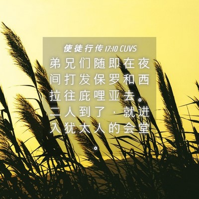 Picture 04 - 使 徒 行 传 17:10 CUVS - 弟 兄 们 随 即 在 夜 间 打 发 保 罗 - Bible Verse Picture