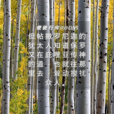 Picture 04 - 使 徒 行 传 17:13 CUVS - 但 帖 撒 罗 尼 迦 的 犹 太 人 知 道 - Bible Verse Picture