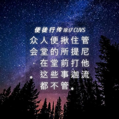 Picture 04 - 使 徒 行 传 18:17 CUVS - 众 人 便 揪 住 管 会 堂 的 所 提 尼 - Bible Verse Picture