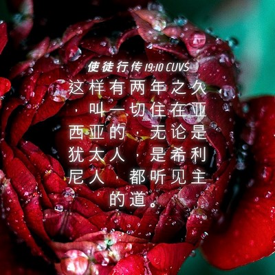 Picture 04 - 使 徒 行 传 19:10 CUVS - 这 样 有 两 年 之 久 ， 叫 一 切 住 - Bible Verse Picture