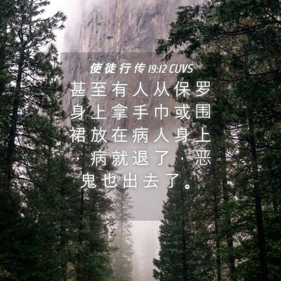 Picture 04 - 使 徒 行 传 19:12 CUVS - 甚 至 有 人 从 保 罗 身 上 拿 手 巾 - Bible Verse Picture
