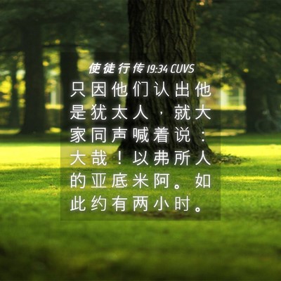 Picture 04 - 使 徒 行 传 19:34 CUVS - 只 因 他 们 认 出 他 是 犹 太 人 ， - Bible Verse Picture