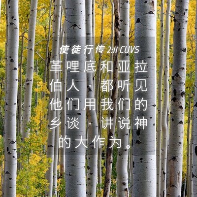 Picture 04 - 使 徒 行 传 2:11 CUVS - 革 哩 底 和 亚 拉 伯 人 ， 都 听 见 - Bible Verse Picture