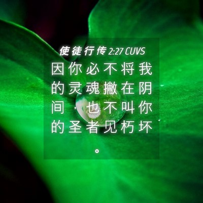 Picture 04 - 使 徒 行 传 2:27 CUVS - 因 你 必 不 将 我 的 灵 魂 撇 在 阴 - Bible Verse Picture