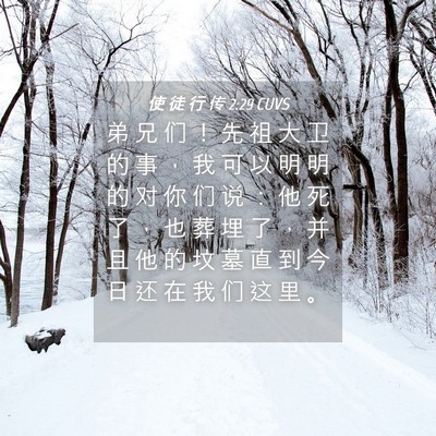 Picture 04 - 使 徒 行 传 2:29 CUVS - 弟 兄 们 ！ 先 祖 大 卫 的 事 ， 我 - Bible Verse Picture