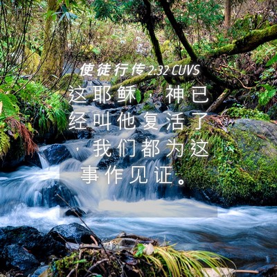 Picture 04 - 使 徒 行 传 2:32 CUVS - 这 耶 稣 ， 神 已 经 叫 他 复 活 了 - Bible Verse Picture