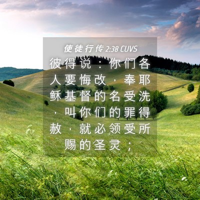 Picture 04 - 使 徒 行 传 2:38 CUVS - 彼 得 说 ： 你 们 各 人 要 悔 改 ， - Bible Verse Picture