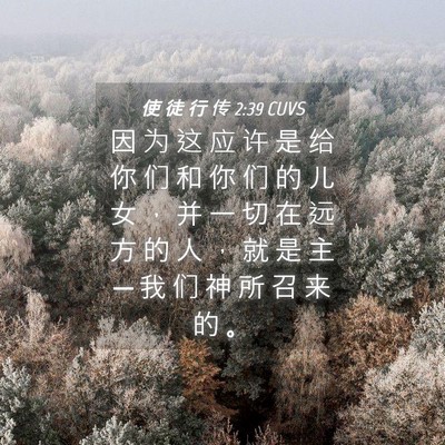 Picture 04 - 使 徒 行 传 2:39 CUVS - 因 为 这 应 许 是 给 你 们 和 你 们 - Bible Verse Picture