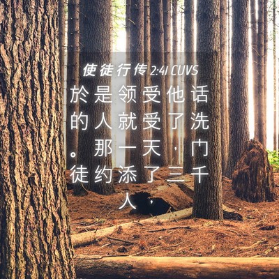 Picture 04 - 使 徒 行 传 2:41 CUVS - 於 是 领 受 他 话 的 人 就 受 了 洗 - Bible Verse Picture