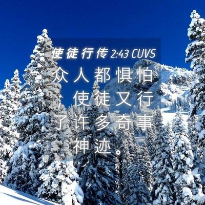 Picture 04 - 使 徒 行 传 2:43 CUVS - 众 人 都 惧 怕 ； 使 徒 又 行 了 许 - Bible Verse Picture