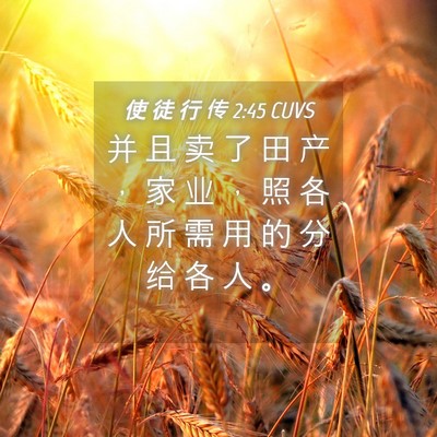 Picture 04 - 使 徒 行 传 2:45 CUVS - 并 且 卖 了 田 产 ， 家 业 ， 照 各 - Bible Verse Picture