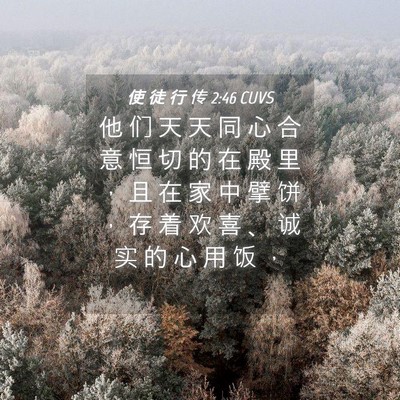 Picture 04 - 使 徒 行 传 2:46 CUVS - 他 们 天 天 同 心 合 意 恒 切 的 在 - Bible Verse Picture