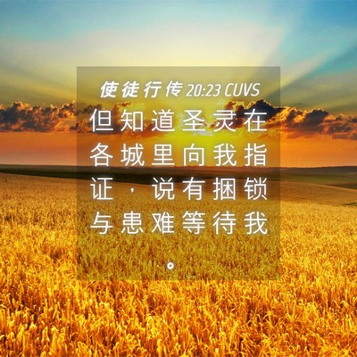 Picture 04 - 使 徒 行 传 20:23 CUVS - 但 知 道 圣 灵 在 各 城 里 向 我 指 - Bible Verse Picture