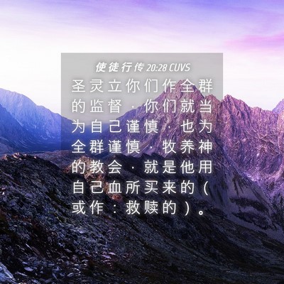 Picture 04 - 使 徒 行 传 20:28 CUVS - 圣 灵 立 你 们 作 全 群 的 监 督 ， - Bible Verse Picture
