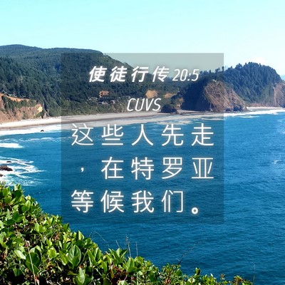 Picture 04 - 使 徒 行 传 20:5 CUVS - 这 些 人 先 走 ， 在 特 罗 亚 等 候 - Bible Verse Picture