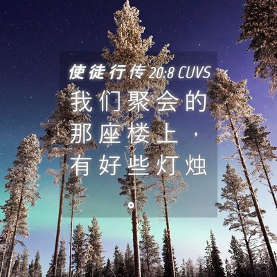 Picture 04 - 使 徒 行 传 20:8 CUVS - 我 们 聚 会 的 那 座 楼 上 ， 有 好 - Bible Verse Picture