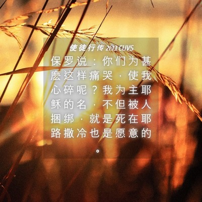 Picture 04 - 使 徒 行 传 21:13 CUVS - 保 罗 说 ： 你 们 为 甚 麽 这 样 痛 - Bible Verse Picture