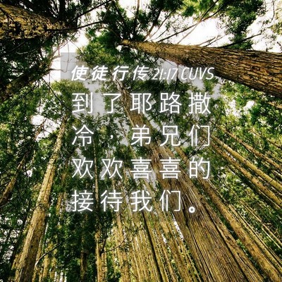 Picture 04 - 使 徒 行 传 21:17 CUVS - 到 了 耶 路 撒 冷 ， 弟 兄 们 欢 欢 - Bible Verse Picture