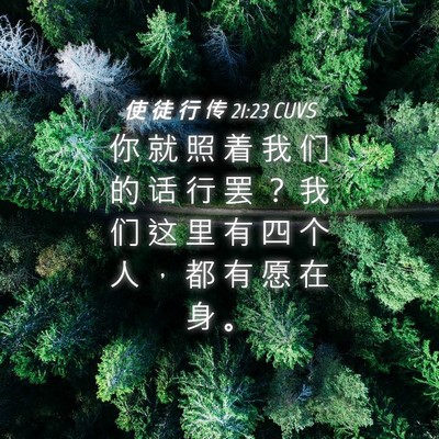 Picture 04 - 使 徒 行 传 21:23 CUVS - 你 就 照 着 我 们 的 话 行 罢 ？ 我 - Bible Verse Picture