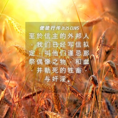 Picture 04 - 使 徒 行 传 21:25 CUVS - 至 於 信 主 的 外 邦 人 ， 我 们 已 - Bible Verse Picture