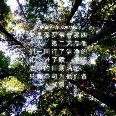 Picture 04 - 使 徒 行 传 21:26 CUVS - 於 是 保 罗 带 着 那 四 个 人 ， 第 - Bible Verse Picture