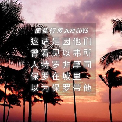 Picture 04 - 使 徒 行 传 21:29 CUVS - 这 话 是 因 他 们 曾 看 见 以 弗 所 - Bible Verse Picture