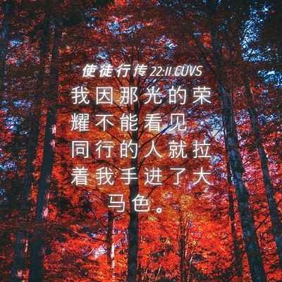 Picture 04 - 使 徒 行 传 22:11 CUVS - 我 因 那 光 的 荣 耀 不 能 看 见 ， - Bible Verse Picture