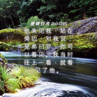 Picture 04 - 使 徒 行 传 22:13 CUVS - 他 来 见 我 ， 站 在 旁 边 ， 对 我 - Bible Verse Picture