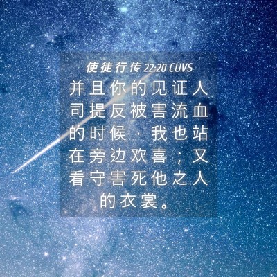 Picture 04 - 使 徒 行 传 22:20 CUVS - 并 且 你 的 见 证 人 司 提 反 被 害 - Bible Verse Picture