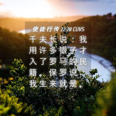 Picture 04 - 使 徒 行 传 22:28 CUVS - 千 夫 长 说 ： 我 用 许 多 银 子 才 - Bible Verse Picture