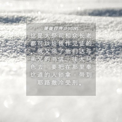 Picture 04 - 使 徒 行 传 22:5 CUVS - 这 是 大 祭 司 和 众 长 老 都 可 以 - Bible Verse Picture