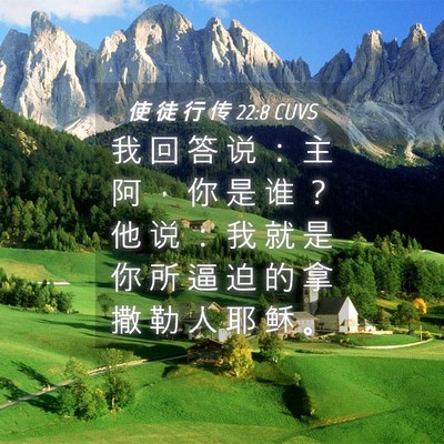 Picture 04 - 使 徒 行 传 22:8 CUVS - 我 回 答 说 ： 主 阿 ， 你 是 谁 ？ - Bible Verse Picture