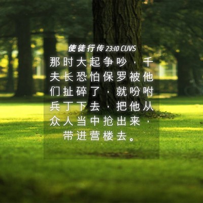 Picture 04 - 使 徒 行 传 23:10 CUVS - 那 时 大 起 争 吵 ， 千 夫 长 恐 怕 - Bible Verse Picture