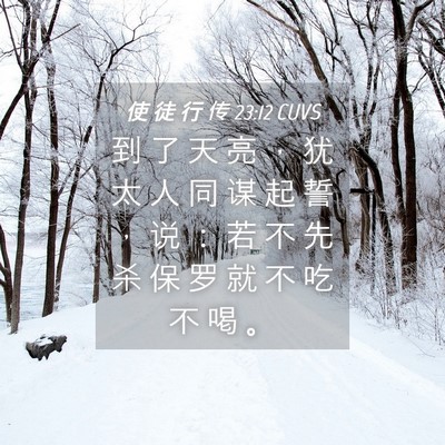 Picture 04 - 使 徒 行 传 23:12 CUVS - 到 了 天 亮 ， 犹 太 人 同 谋 起 誓 - Bible Verse Picture